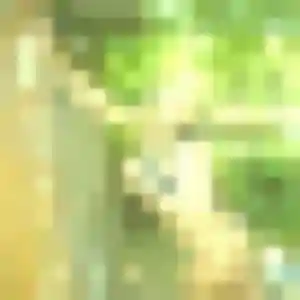 Photo sexy de Dienaba, 36 ans à Méreau - plan discret
