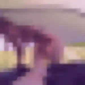 Charmante Naomie, 34 ans à Messia-sur-Sorne - la contacter
