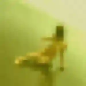Constance, fille de 39 ans propose plan cul à Mexy