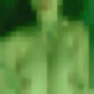 Lilou, fille de 37 ans cherche plan cul à Mèze