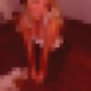 Zineb, femme de 38 ans veut plan cul à Missillac