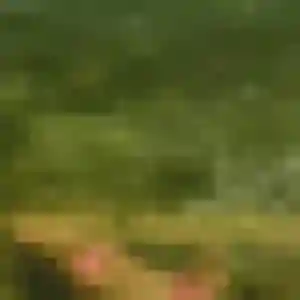 Photo privée de Wambui, 38 ans à Monchaux-Soreng - rencontre coquine