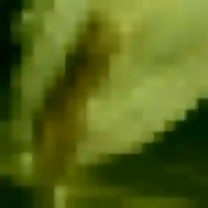Photo sexy de Titi, 36 ans à Monchy-Lagache - plan discret