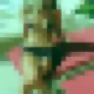 Photo de Nicole à Mondragon (45 ans) - plan cul discret