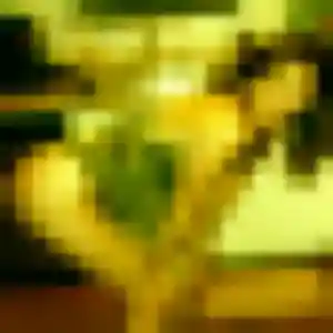 Photo exclusive de Solange, 27 ans à Monistrol-sur-Loire - rencontre coquine