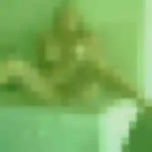 Khady, femme de 35 ans cherche plan cul à Mons