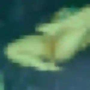 Photo de Sixtine à Montenois (24 ans) - plan cul anonyme