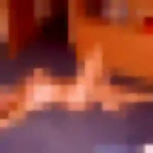 plan cul à Montfort-sur-Argens : photo de Rokia, 28 ans - sans engagement