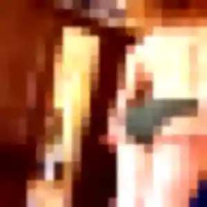 Photo exclusive de Carine, 36 ans à Montgaillard - rencontre sans lendemain