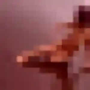 Sékou, 43 ans, disponible à Montgaillard-Lauragais pour une rencontre coquine