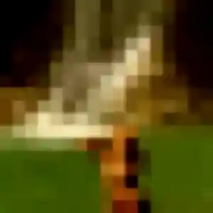 Photo sexy de Miriam, 32 ans à Montigny-le-Chartif - rencontre sans lendemain