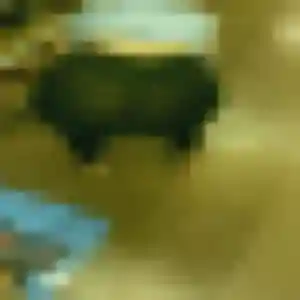 Photo de Amenan à Montverdun (36 ans) - plan cul gratuit