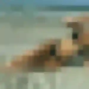 Photo sexy de Kiné, 39 ans à Morières-lès-Avignon - rencontre coquine