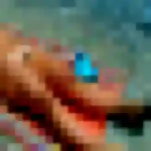 Sexy Afia, 42 ans à Moutiers-les-Mauxfaits - la contacter