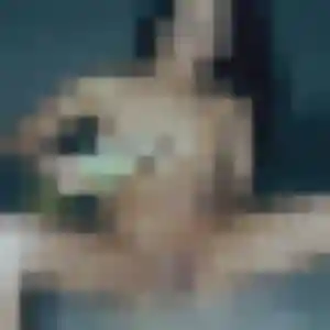 Photo exclusive de Bola, 33 ans à Neufchâtel-Hardelot - plan discret
