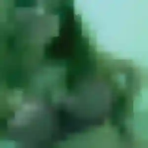 Lise, 44 ans, cherche un plan cul à Neuville-aux-Bois