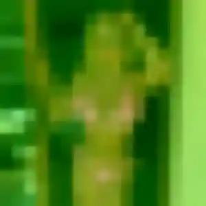 Contacte Priscilla, 24 ans à Neuville-sur-Saône en privé