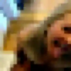 Rehema, 34 ans, disponible à Noizay pour une rencontre coquine