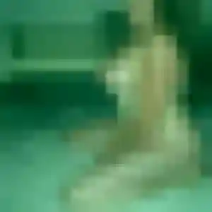 Photo perso de Omolara, 34 ans à Norrent-Fontes - rencontre coquine