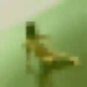 Photo privée de Solange, 34 ans à Nortkerque - rencontre coquine