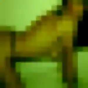 Photo privée de Assétou, 45 ans à Nucourt - rencontre coquine