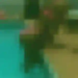 Contacte Codou, 33 ans à Occagnes en t'inscrivant