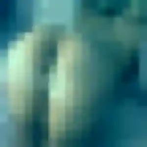Photo exclusive de Faustine, 44 ans à Omessa - plan discret
