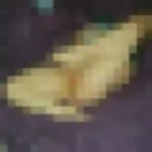 Salma, 31 ans, disponible à Optevoz pour une rencontre coquine