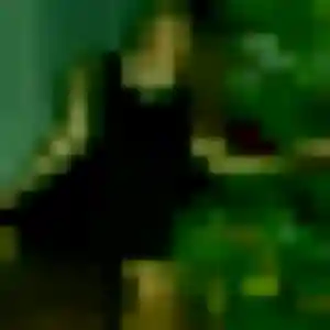 Photo sexy de Patience, 41 ans à Orly-sur-Morin - plan discret