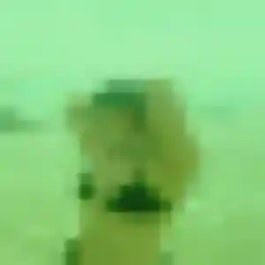 Sarah, 45 ans, disponible à Palluau pour une rencontre coquine