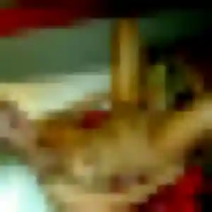Ornella, 28 ans, connectée à Parent pour une rencontre coquine