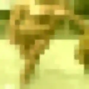 Photo de Atieno à Payzac (23 ans) - plan cul gratuit