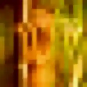 Photo de Abiodun à Perrigny-lès-Dijon (44 ans) - plan cul anonyme
