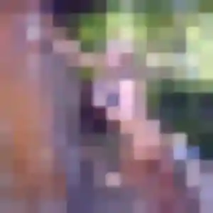 Ketty (45 ans) à Peyrelevade cherche une rencontre rapidement