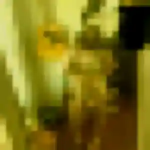 Ornella, 30 ans, en ligne à Peyrestortes pour une rencontre coquine