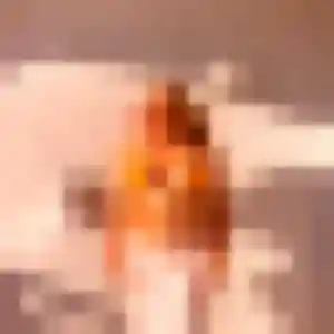 Photo sexy de Wilda, 35 ans à Peyruis - plan discret