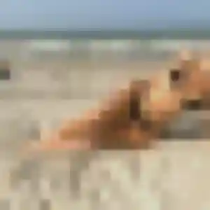 Irène, femme de 41 ans cherche plan cul à Plémet