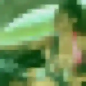 Photo de Penda à Plomelin (23 ans) - plan cul discret
