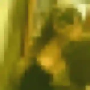 Photo de Shade à Plouëc-du-Trieux (33 ans) - plan cul gratuit