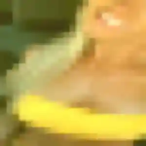 Afia, 41 ans, connectée à Plougoulm pour une rencontre coquine