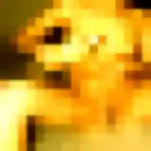 Zawadi, 24 ans, connectée à Plumieux pour une rencontre coquine