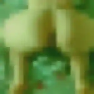 Photo de Zara à Pluneret (44 ans) - plan cul discret