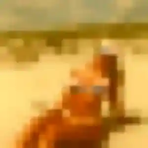 plan cul à Poey-de-Lescar : photo de Divine, 31 ans - sans engagement