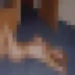 Profil de Gisèle à Poincy (31 ans) - plan cul gratuit