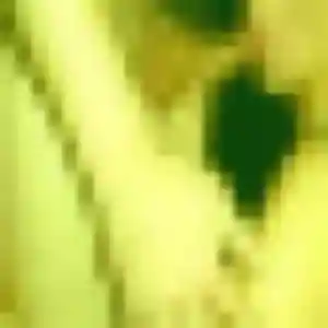 Photo perso de Noëlla, 30 ans à Polliat - rencontre coquine