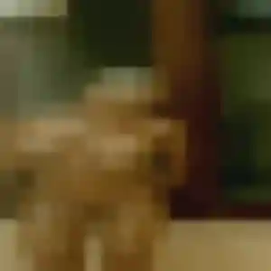 Photo de Jamila à Pompignan (43 ans) - plan cul discret