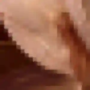 Jolie Titi, 45 ans à Pont-l'Abbé - la contacter