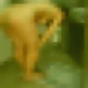 Léonie, femme de 34 ans cherche plan cul à Pontavert