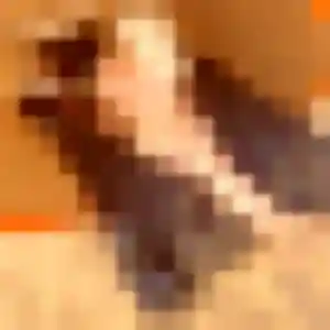 Takha, 22 ans, disponible à Ponthoile pour une rencontre coquine