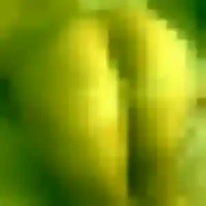 Profil de Kelly à Prades-le-Lez (27 ans) - plan cul anonyme